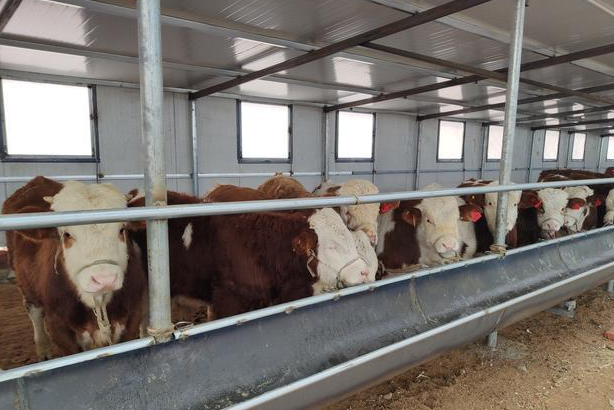 養殖污水處理價格_養殖污水處理成套設備廠家_養殖用水處理設備