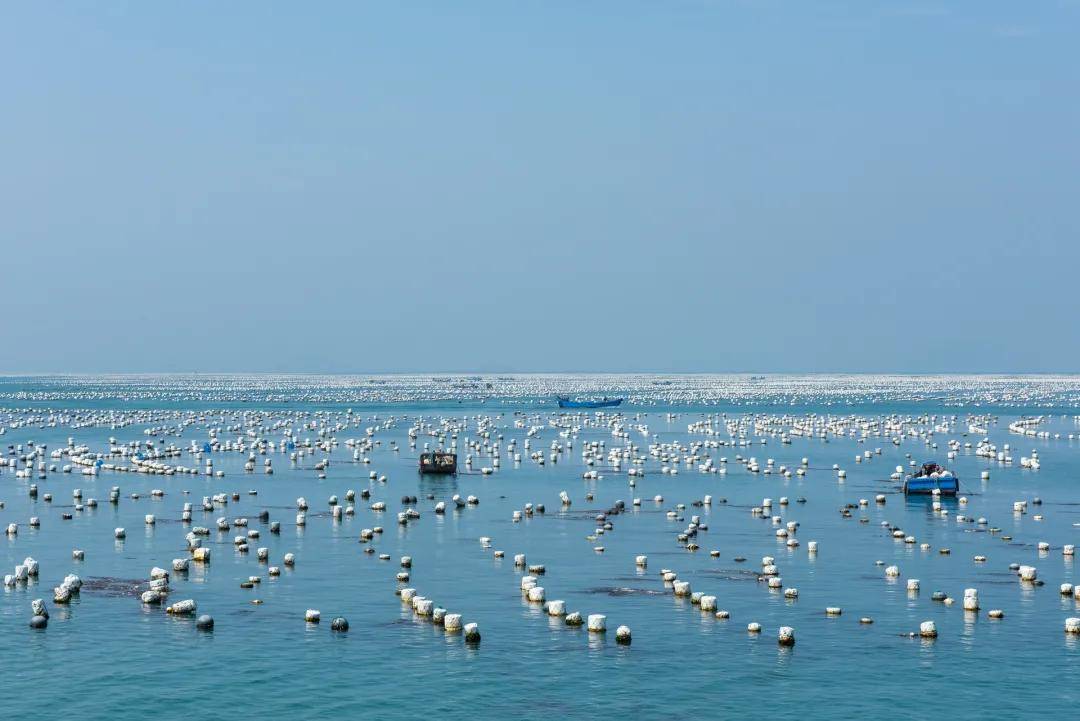 海水水產養殖廢水處理方法|工藝流程|排放標準-1