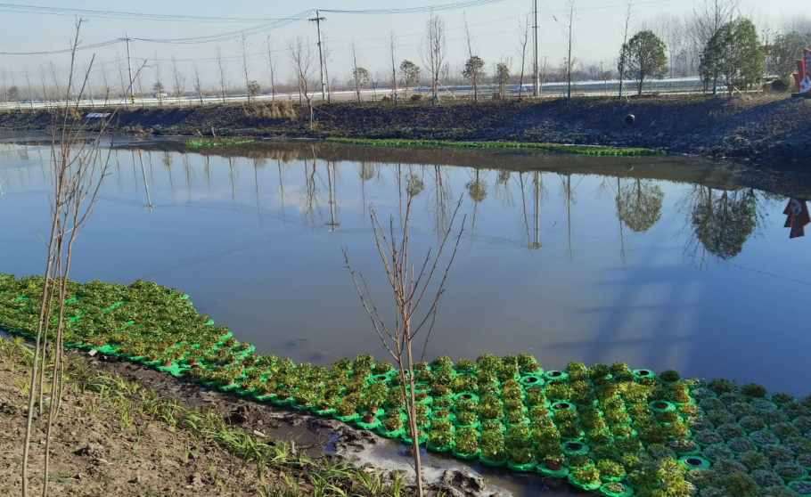 養殖尾水處理方法|工藝流程